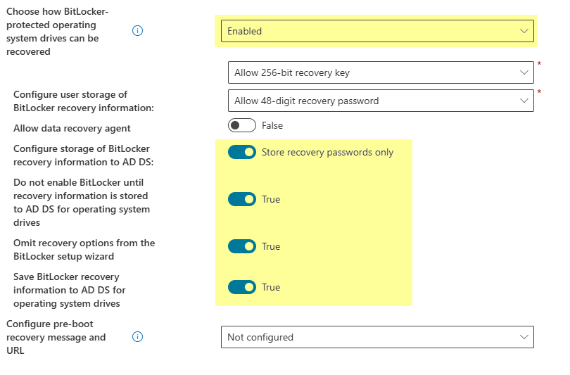 Bitlocker Operating System Drives